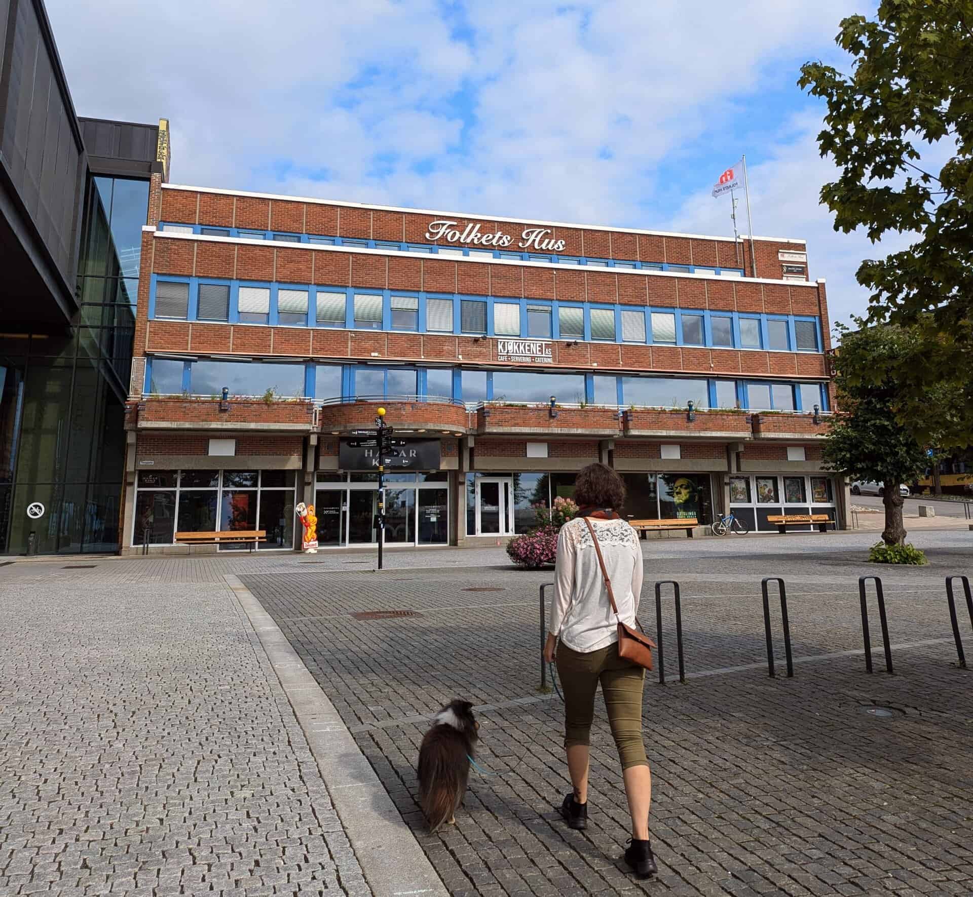 Kinoen i Hamar