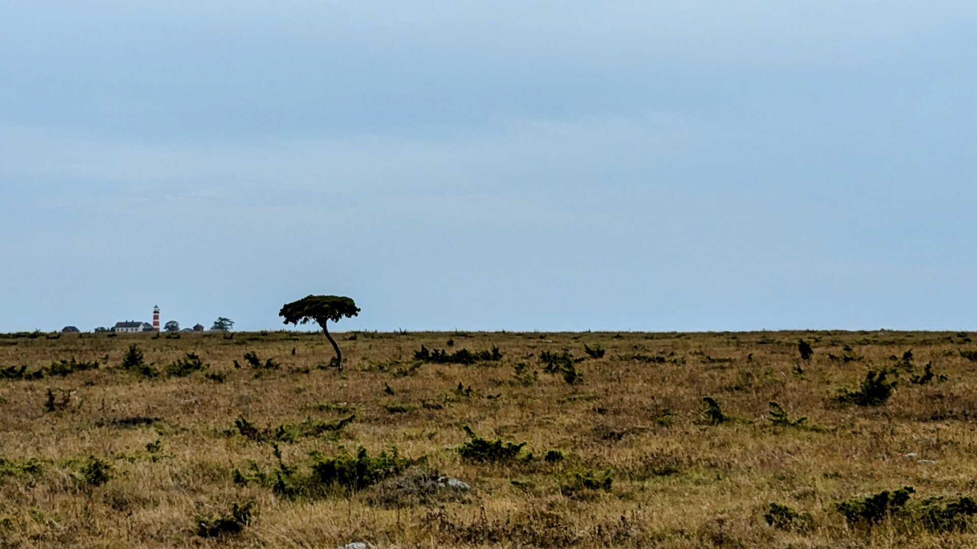 Närsholmen på Gotland