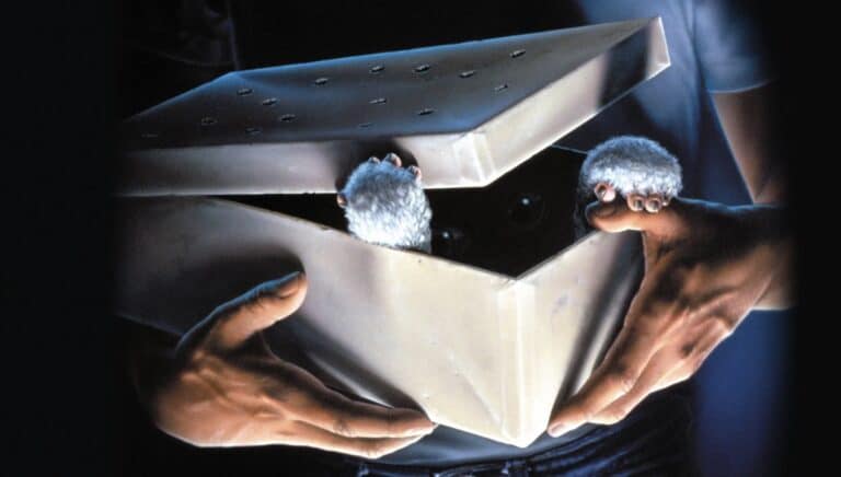 Ein filmposter av monsterkomedien Gremlins