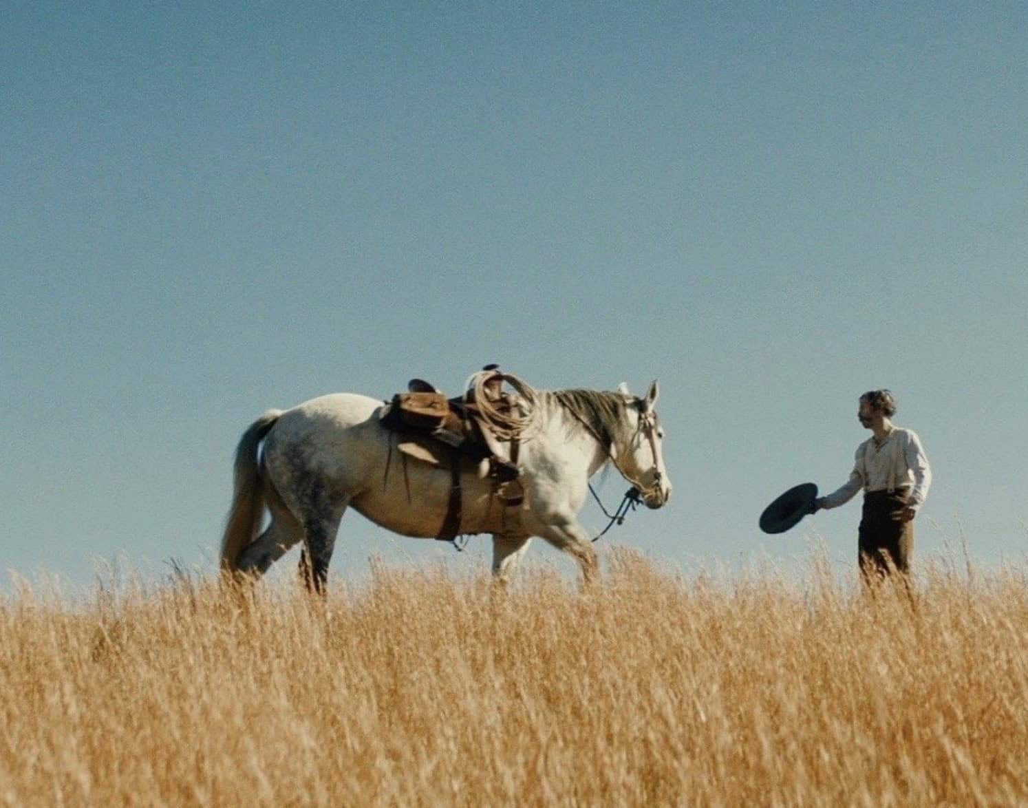 Hesten leder til trøbbel, i westernfilmen Old Henry (2021)