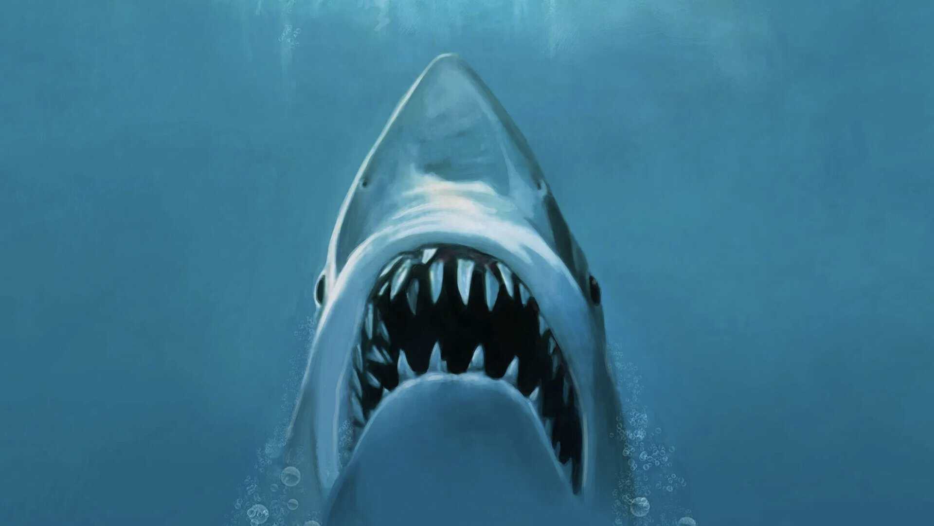 Jaws plakat av haifilmen Haisommer