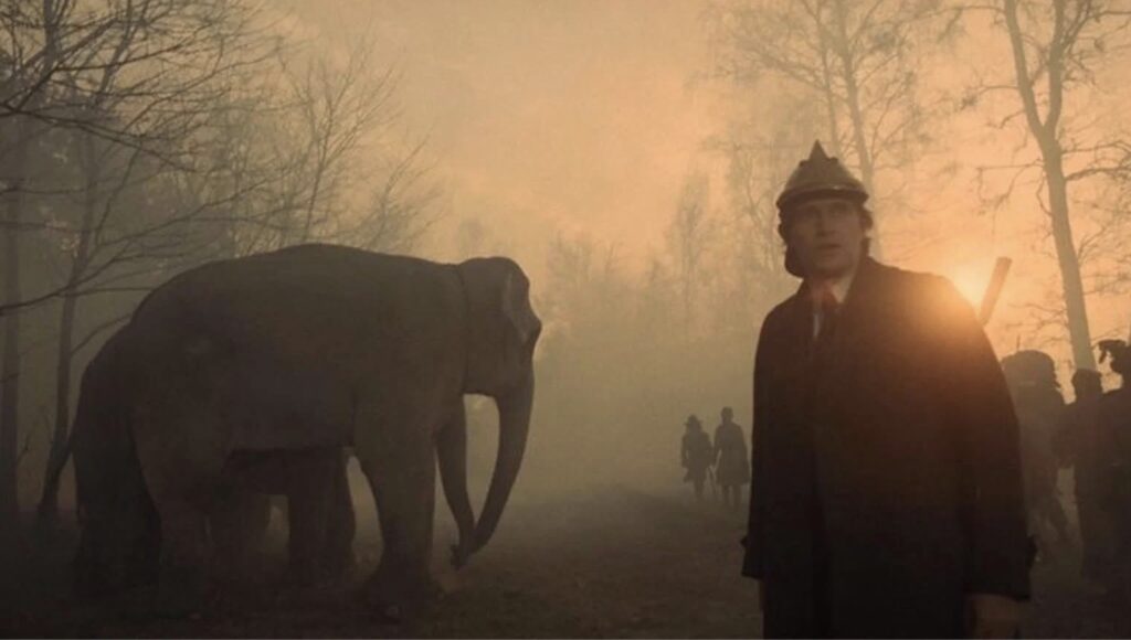 Ei scene med ein elefant i frå den polske filmen The Hourglass Sanatorium (1973)