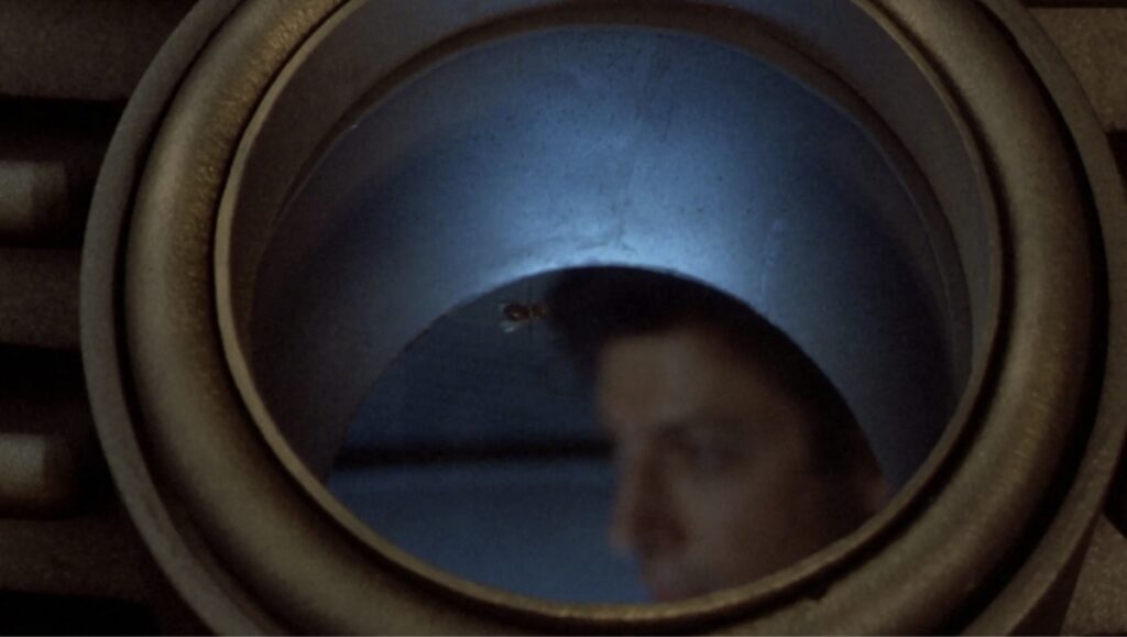 Fluga som kom inn saman med Jeff Goldblum i maskina, frå The Fly (1986).